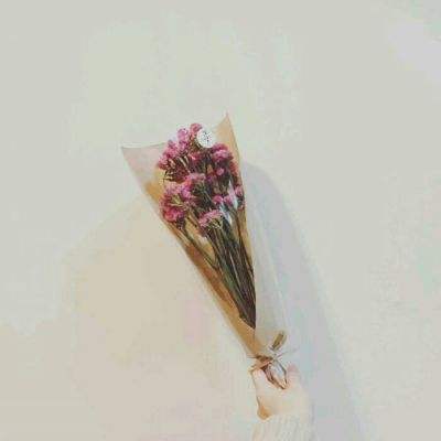 指尖梦幻破解版下载